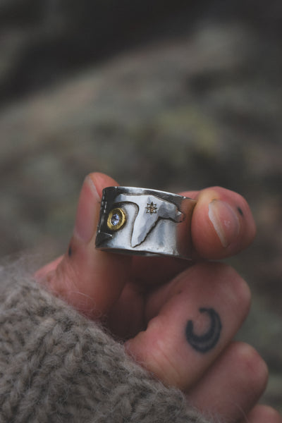Migration Ring 2.0 - Sapphire & Diamonds