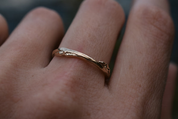 Aspen Twig Band