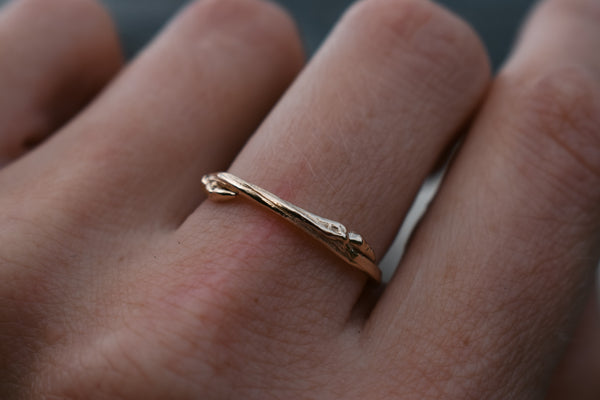 Aspen Twig Band