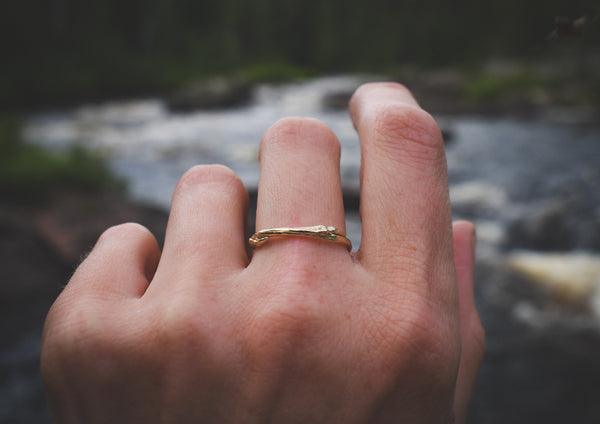 Aspen Twig Band