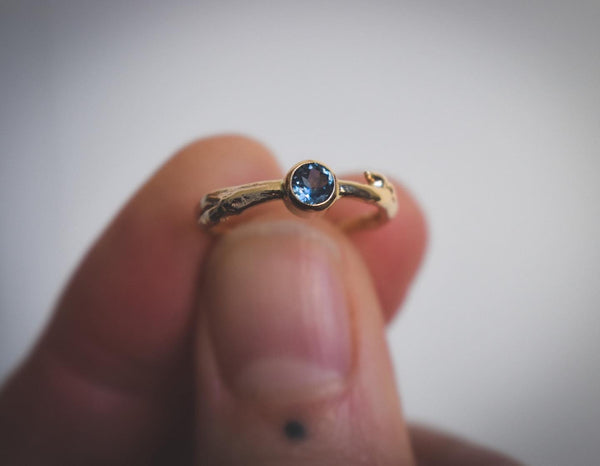 Aspen Twig Ring - Montana Sapphire